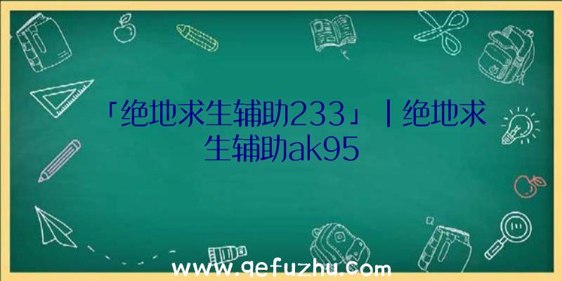 「绝地求生辅助233」|绝地求生辅助ak95